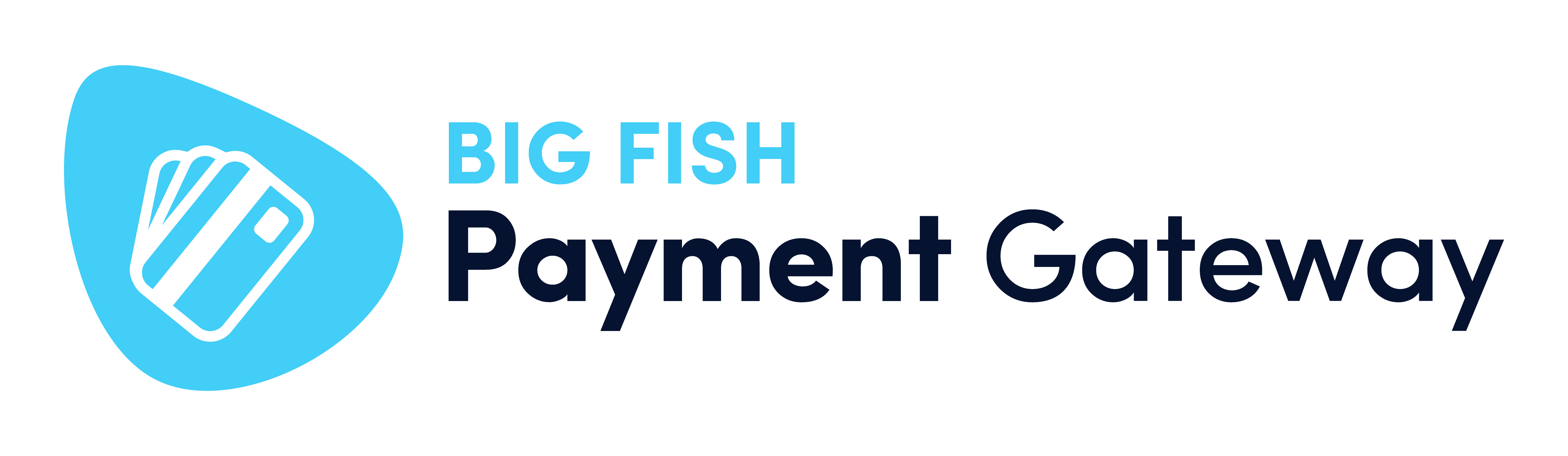 BIG FISH Payment Gateway